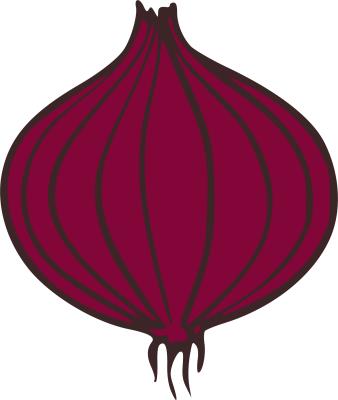 a6_onion_vector