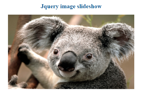 jquery image gallery slider