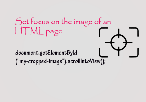 javascript set focus the image